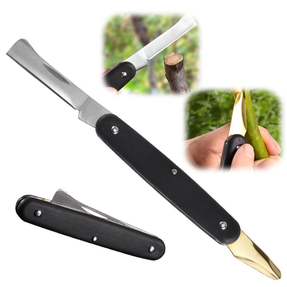 Fruit And Vegetable Grafting M - Fruit Slot Machine 评论和价格
