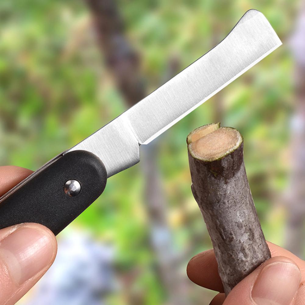 Fruit And Vegetable Grafting M - Fruit Slot Machine 评论和价格