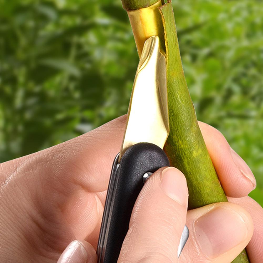 Fruit And Vegetable Grafting M - Fruit Slot Machine 评论和价格